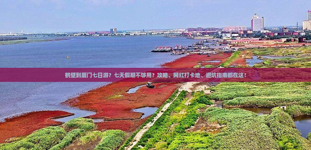 鹤壁到厦门七日游？七天假期不够用？攻略、网红打卡地、避坑指南都在这！