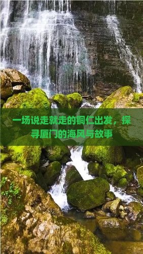 一场说走就走的铜仁出发，探寻厦门的海风与故事