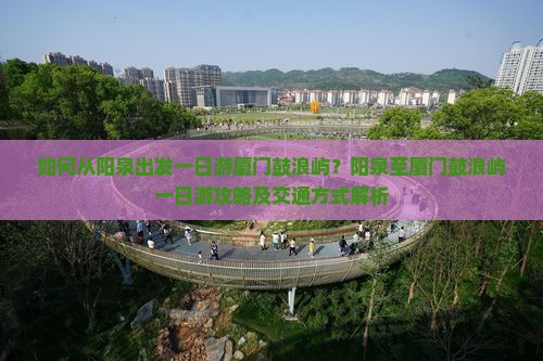 如何从阳泉出发一日游厦门鼓浪屿？阳泉至厦门鼓浪屿一日游攻略及交通方式解析