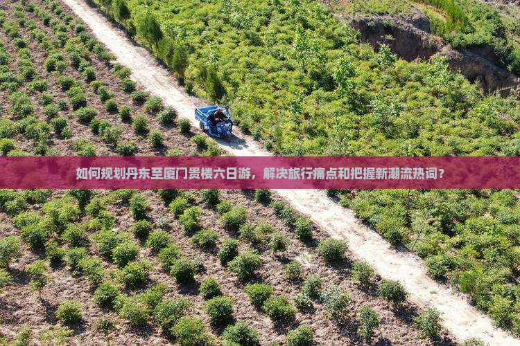 如何规划丹东至厦门贵楼六日游，解决旅行痛点和把握新潮流热词？