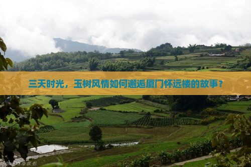 三天时光，玉树风情如何邂逅厦门怀远楼的故事？
