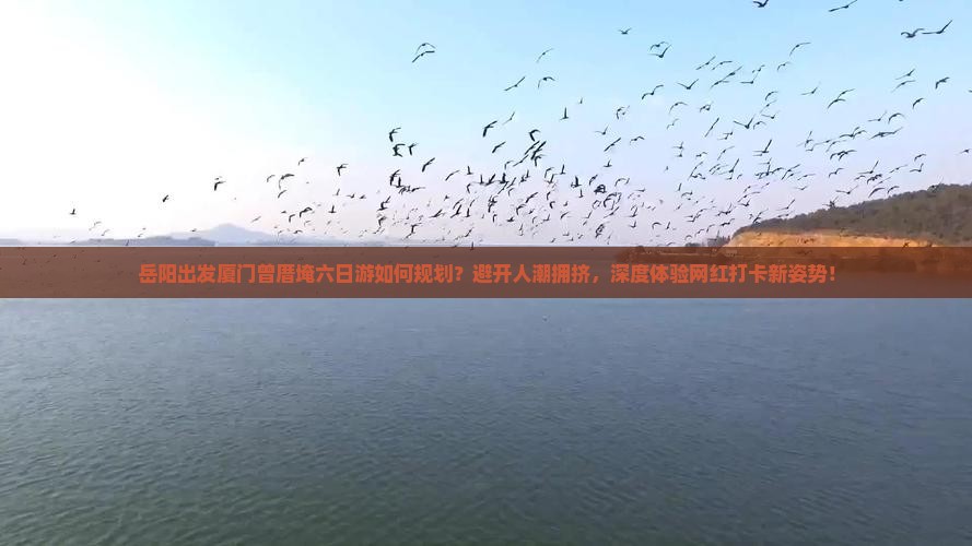 岳阳出发厦门曾厝埯六日游如何规划？避开人潮拥挤，深度体验网红打卡新姿势！