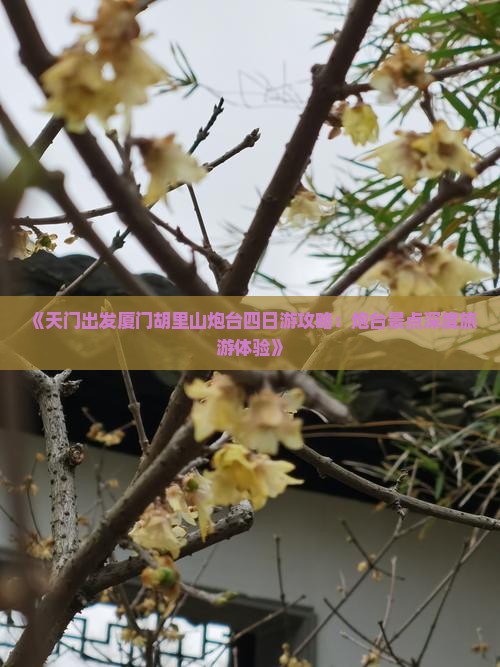 《天门出发厦门胡里山炮台四日游攻略：炮台景点深度旅游体验》