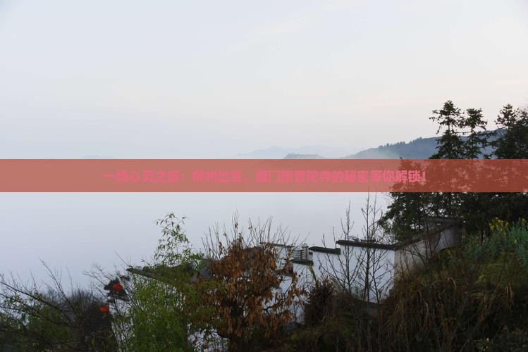 一场心灵之旅：柳州出发，厦门南普陀寺的秘密等你解锁！