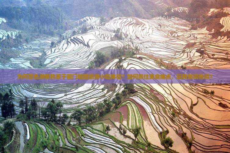 为何百色游客热衷于厦门毓园旅游小吃体验？如何抓住美食痛点，玩转新词热词？