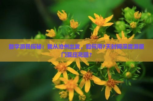 数字游民探秘：我从沧州出发，如何用7天时间深度游厦门菽庄花园？