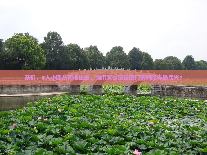 亲们，8人小团从河池出发，咱们怎么玩转厦门南普陀寺最尽兴？
