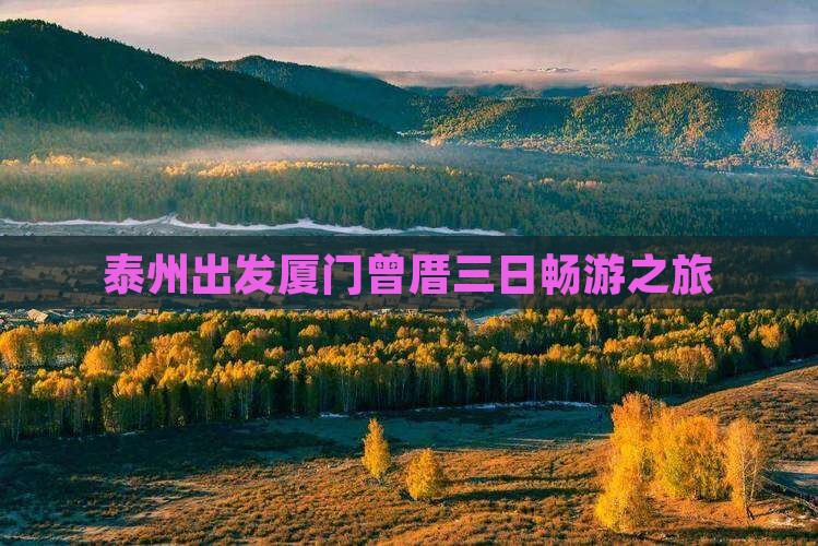 泰州出发厦门曾厝三日畅游之旅