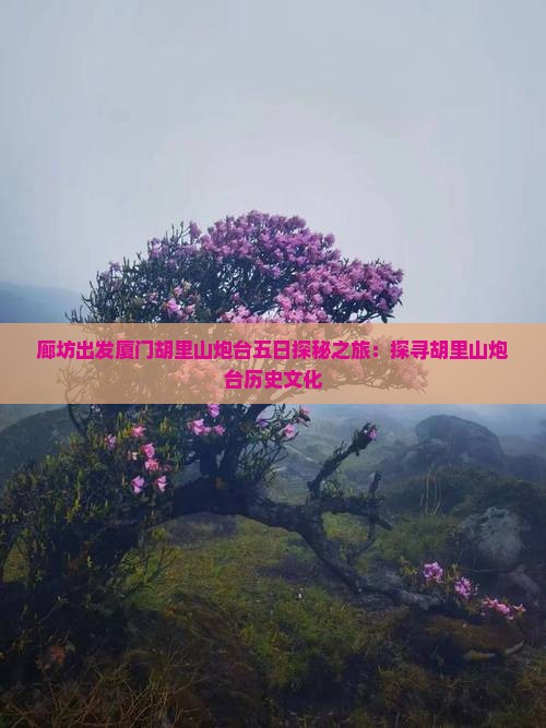 廊坊出发厦门胡里山炮台五日探秘之旅：探寻胡里山炮台历史文化