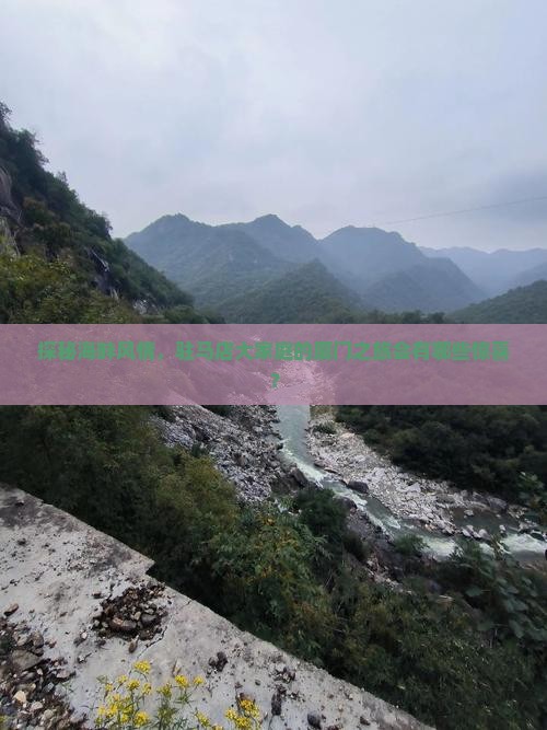 探秘海畔风情，驻马店大家庭的厦门之旅会有哪些惊喜？