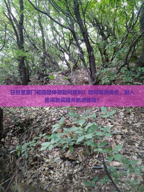 日照至厦门毓园团体游如何策划?如何解决痛点,融入热词新词提升旅游体验? 日照至厦门毓园团体游如何策划?如何解决痛点,融入热词新词提升旅游体验?