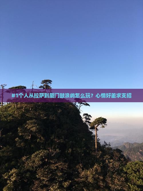 #1个人从拉萨到厦门鼓浪屿怎么玩?心情好差求支招 #1个人从拉萨到厦门鼓浪屿怎么玩?心情好差求支招