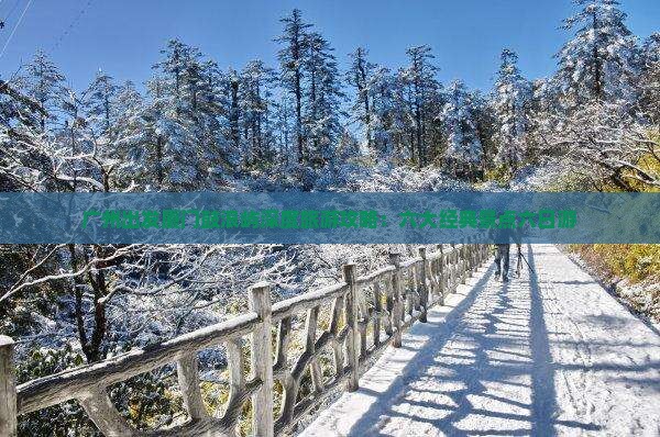 广州出发厦门鼓浪屿深度旅游攻略：六大经典景点六日游