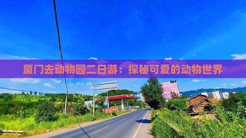 厦门去动物园二日游：探秘可爱的动物世界