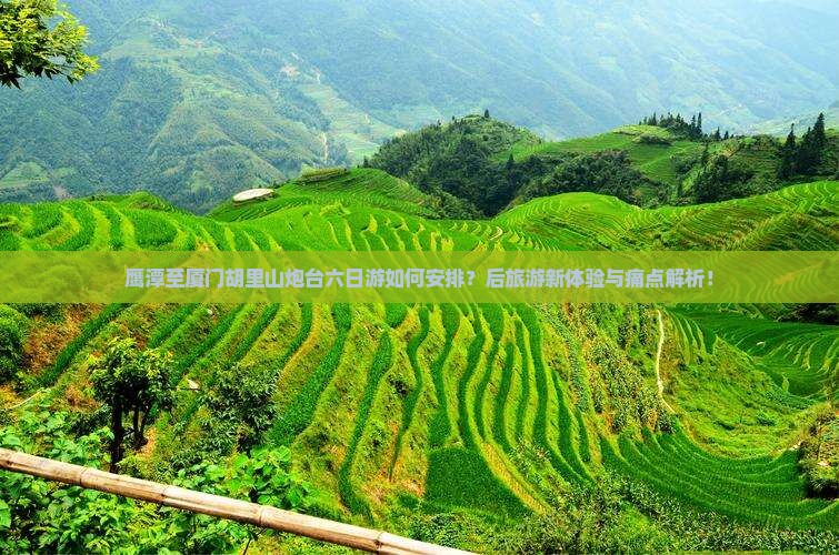 鹰潭至厦门胡里山炮台六日游如何安排？后旅游新体验与痛点解析！