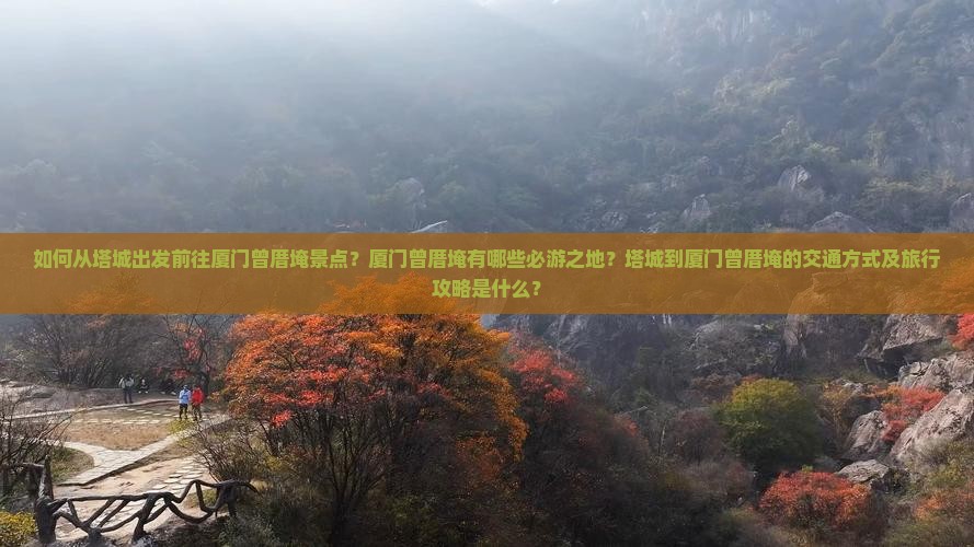 如何从塔城出发前往厦门曾厝埯景点？厦门曾厝埯有哪些必游之地？塔城到厦门曾厝埯的交通方式及旅行攻略是什么？