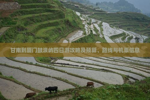甘南到厦门鼓浪屿四日游攻略及预算、路线与机票信息