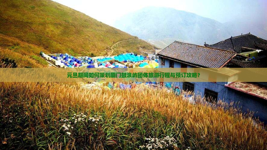 元旦期间如何策划厦门鼓浪屿团体旅游行程与预订攻略？
