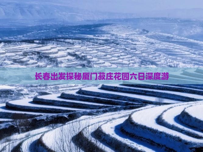 长春出发探秘厦门菽庄花园六日深度游