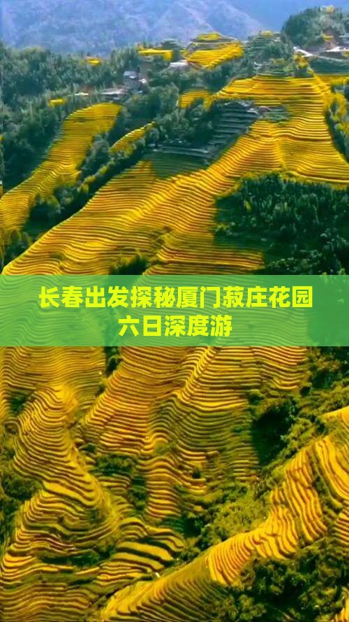 长春出发探秘厦门菽庄花园六日深度游