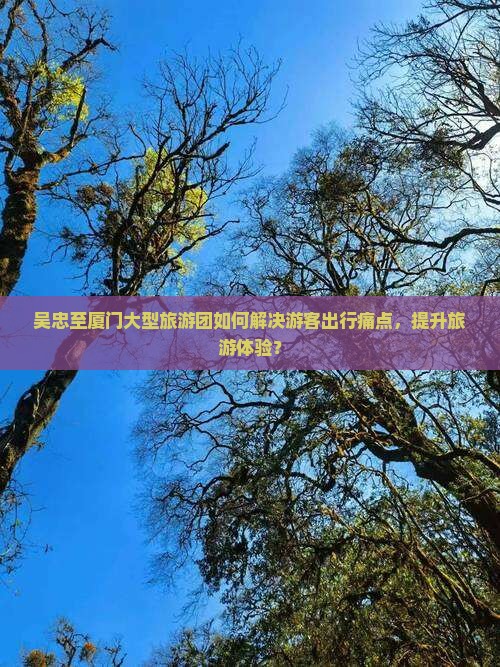 吴忠至厦门大型旅游团如何解决游客出行痛点，提升旅游体验？