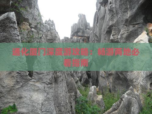 通化厦门深度游攻略：畅游两地必看指南