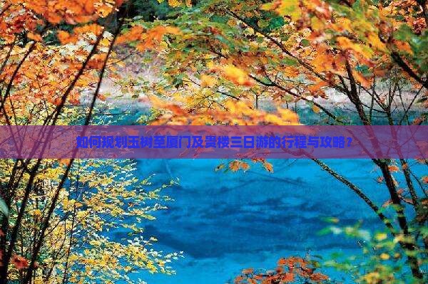 如何规划玉树至厦门及贵楼三日游的行程与攻略？