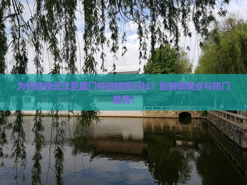 为何选择武汉至厦门怀远楼旅行社？旅游新痛点与热门趋势！