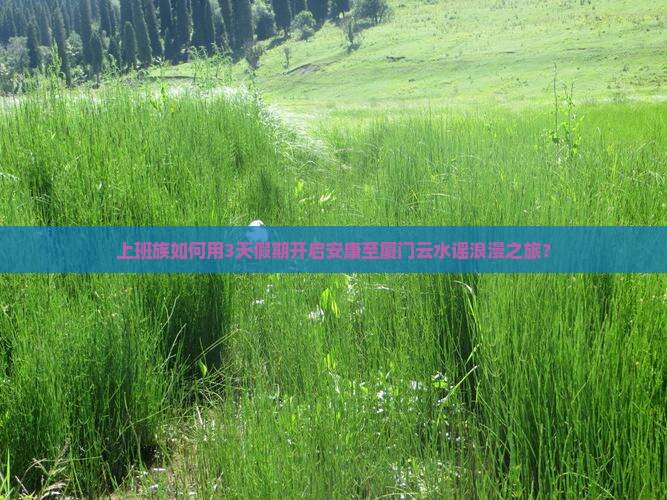 上班族如何用3天假期开启安康至厦门云水谣浪漫之旅？