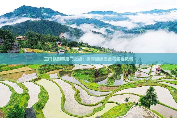 三门峡游客厦门之旅：探寻海蛎美食与贵楼风情