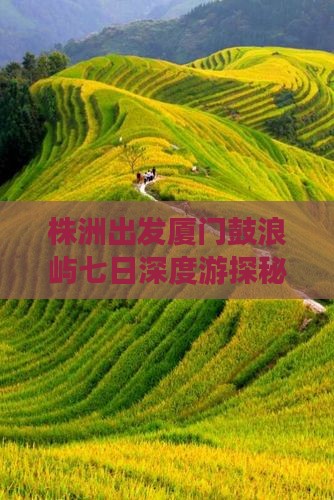 株洲出发厦门鼓浪屿七日深度游探秘
