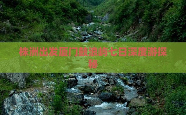 株洲出发厦门鼓浪屿七日深度游探秘