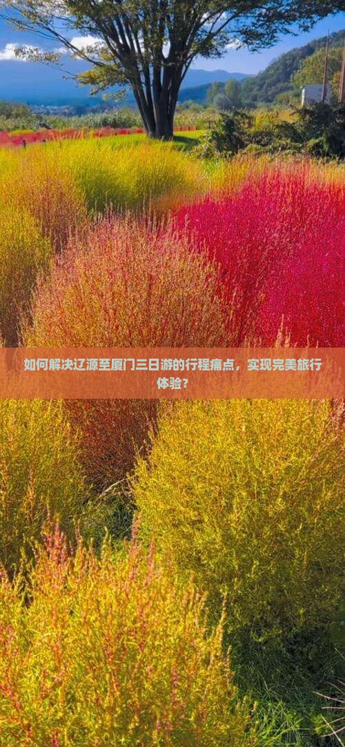 如何解决辽源至厦门三日游的行程痛点，实现完美旅行体验？