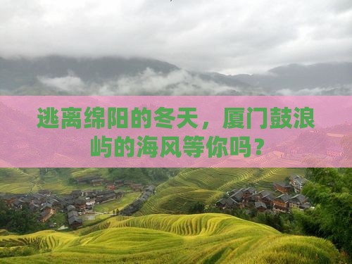 逃离绵阳的冬天，厦门鼓浪屿的海风等你吗？