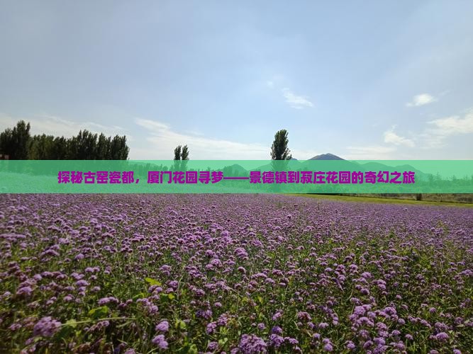 探秘古窑瓷都，厦门花园寻梦——景德镇到菽庄花园的奇幻之旅