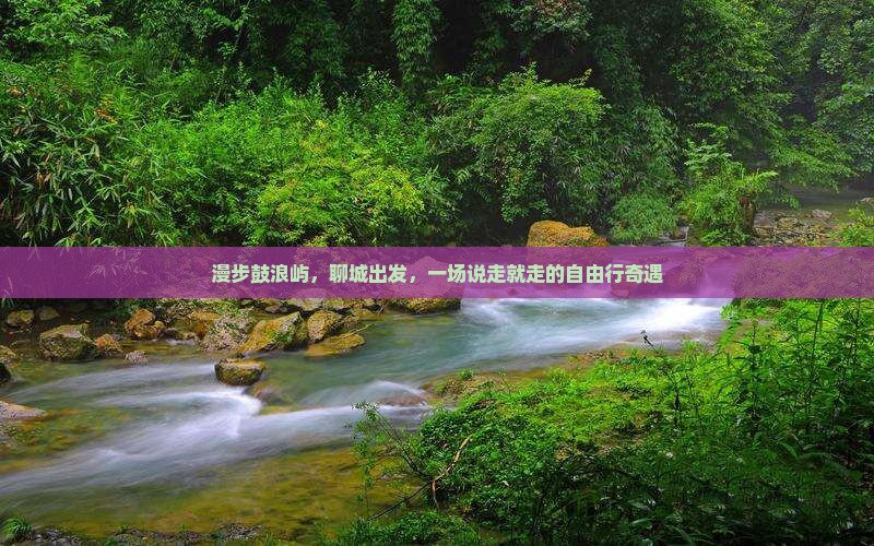 漫步鼓浪屿，聊城出发，一场说走就走的自由行奇遇