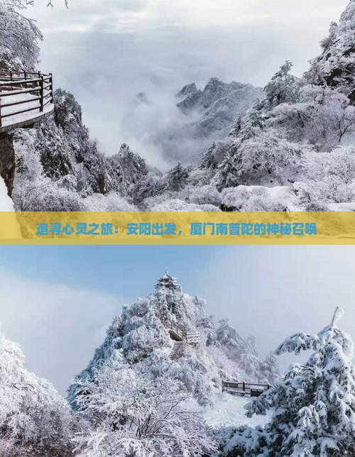 追寻心灵之旅：安阳出发，厦门南普陀的神秘召唤