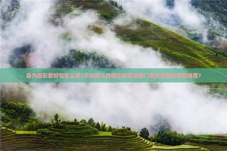 身为摄影爱好宅怎么用3天时间从白城出发探访厦门菽庄花园的美丽角落？