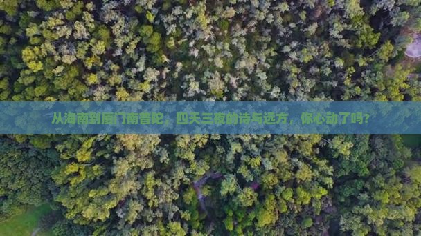 从海南到厦门南普陀，四天三夜的诗与远方，你心动了吗？