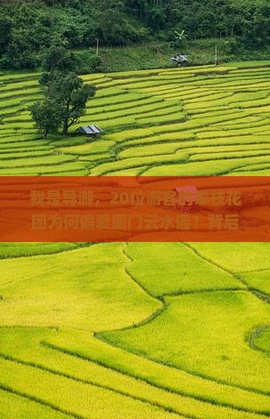 我是导游，20位游客的攀枝花团为何偏爱厦门云水谣？背后情感故事！