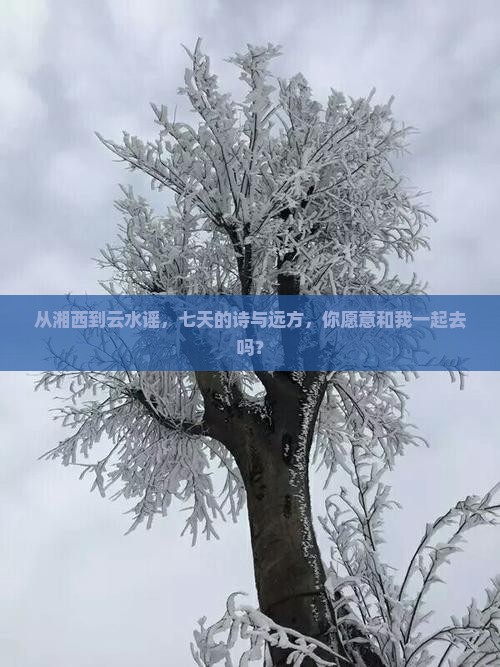 从湘西到云水谣，七天的诗与远方，你愿意和我一起去吗？