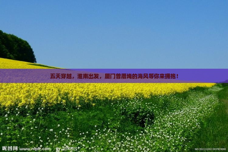 五天穿越，淮南出发，厦门曾厝埯的海风等你来拥抱！
