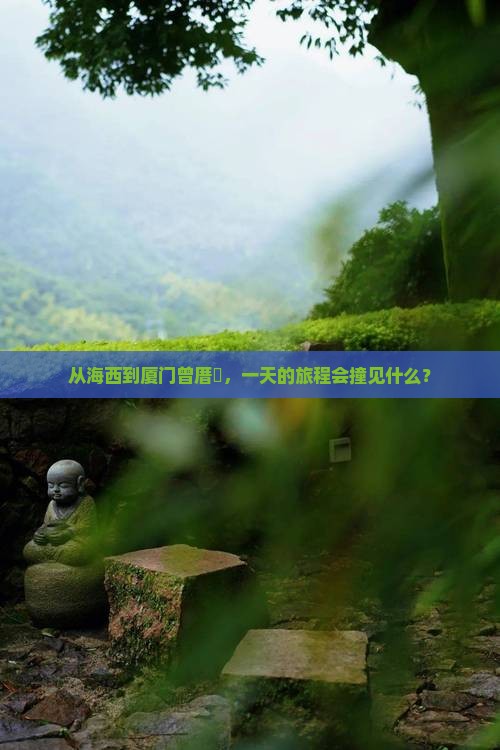 从海西到厦门曾厝垵，一天的旅程会撞见什么？