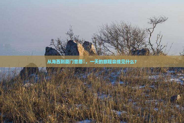 从海西到厦门曾厝垵，一天的旅程会撞见什么？