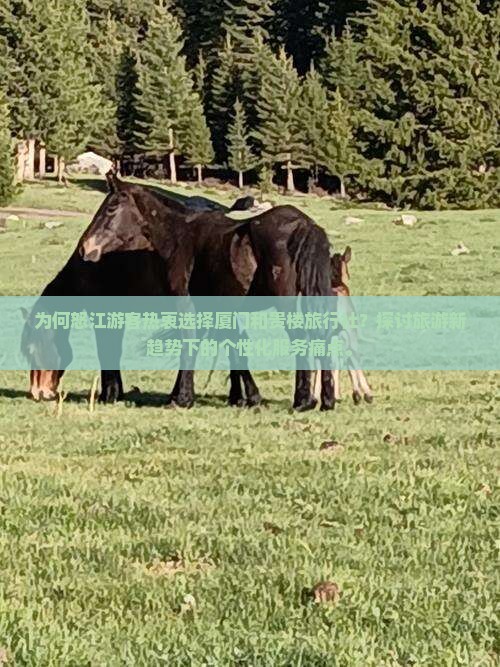 为何怒江游客热衷选择厦门和贵楼旅行社？探讨旅游新趋势下的个性化服务痛点。