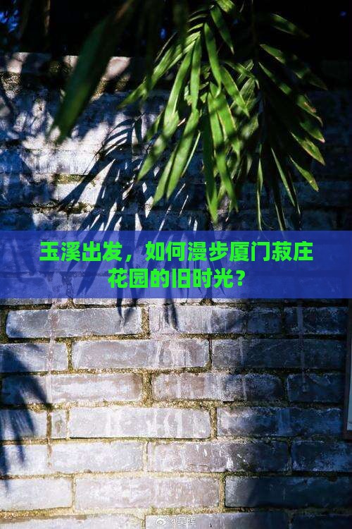 玉溪出发，如何漫步厦门菽庄花园的旧时光？