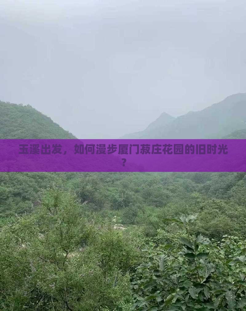玉溪出发，如何漫步厦门菽庄花园的旧时光？