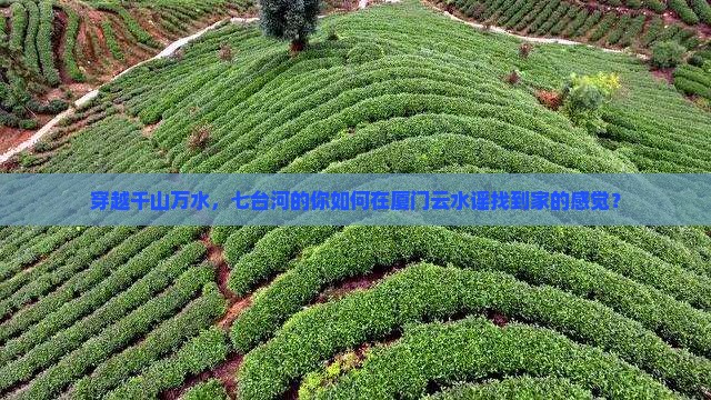 穿越千山万水，七台河的你如何在厦门云水谣找到家的感觉？