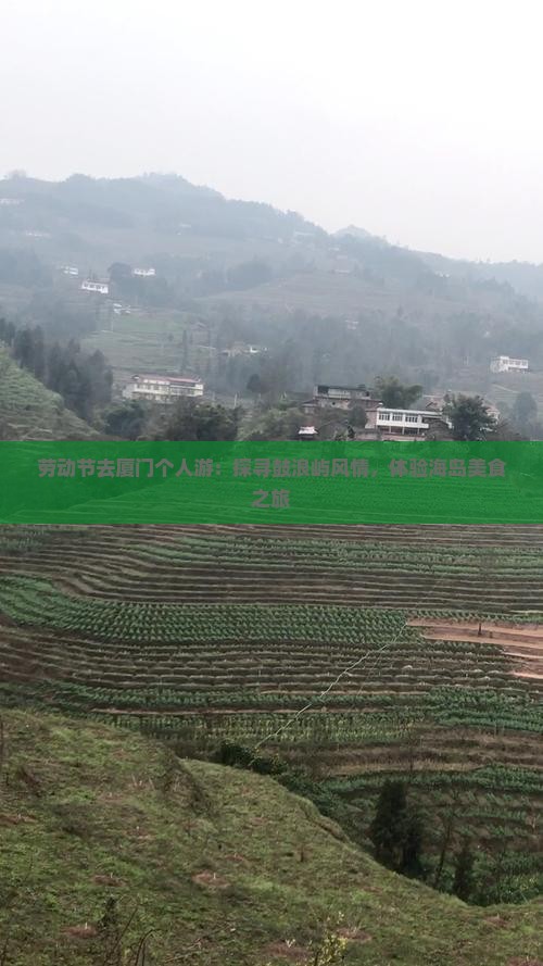 劳动节去厦门个人游：探寻鼓浪屿风情，体验海岛美食之旅