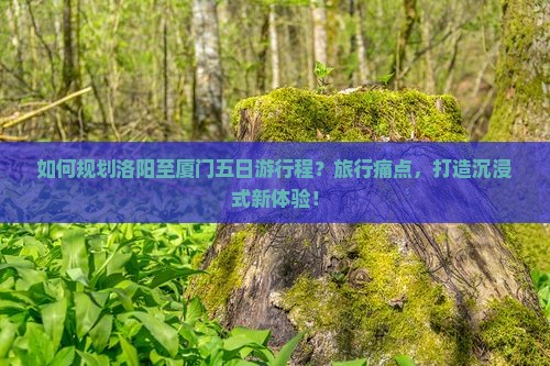 如何规划洛阳至厦门五日游行程？旅行痛点，打造沉浸式新体验！